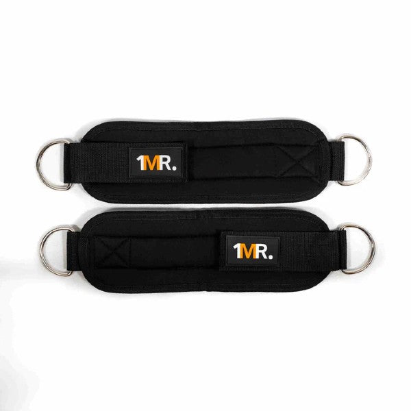 1MR &