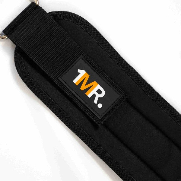 1MR &